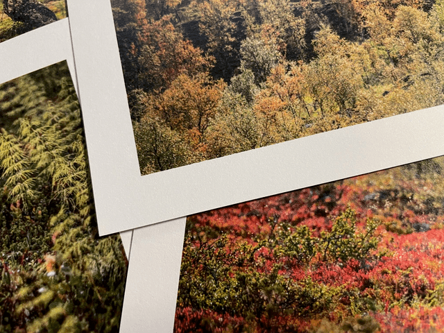 Lot de cartes 10x15 - TUNTURIS