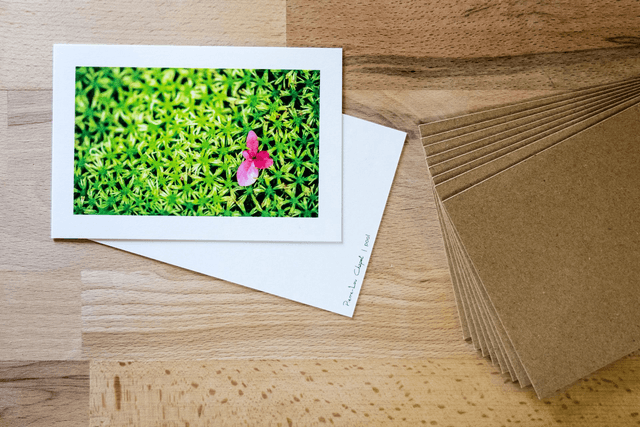 Lot de cartes 10x15 - POOL